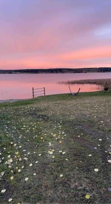 Veslestua - Beach Bliss & Fishing Fun Hemnes Exteriör bild